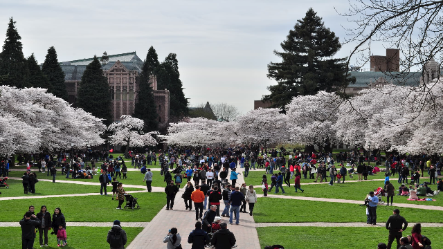 Jurusan Terbaik di Universitas Washington di Eropa